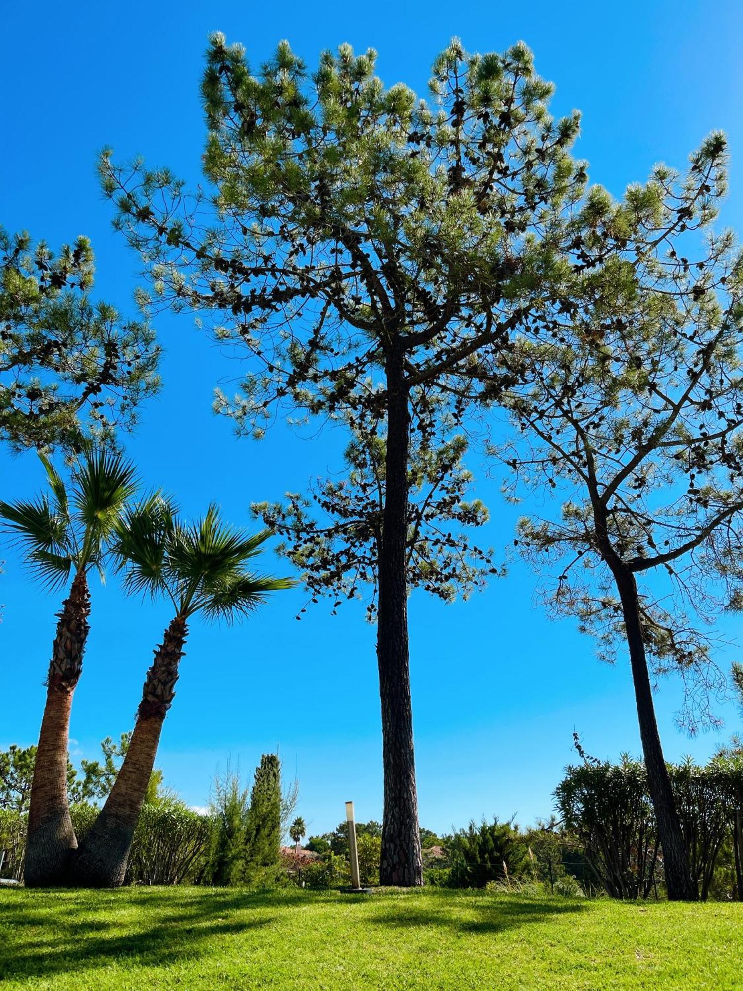 Scarlet'S Place - 1 Bed Victory Village Quinta Do Lago - Beach, Nature, Lakes Ngoại thất bức ảnh